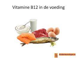 vitamine b12 in voeding