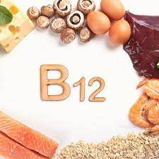 b12 vitamine voeding