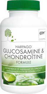 glucosamine chondroitine visolie