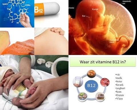 waarvoor vitamine b12